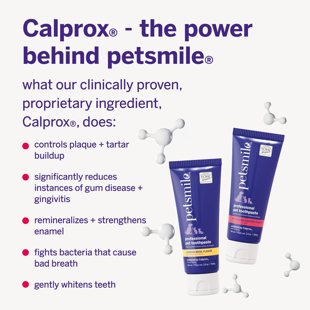 petsmile dog accepting paste showing stress-free oral routine