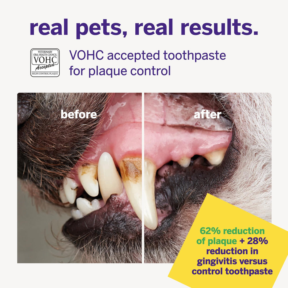 petsmile tube next to hand size comparison for portability benefit