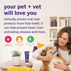 petsmile toothpaste texture close-up showing non-abrasive mineral paste