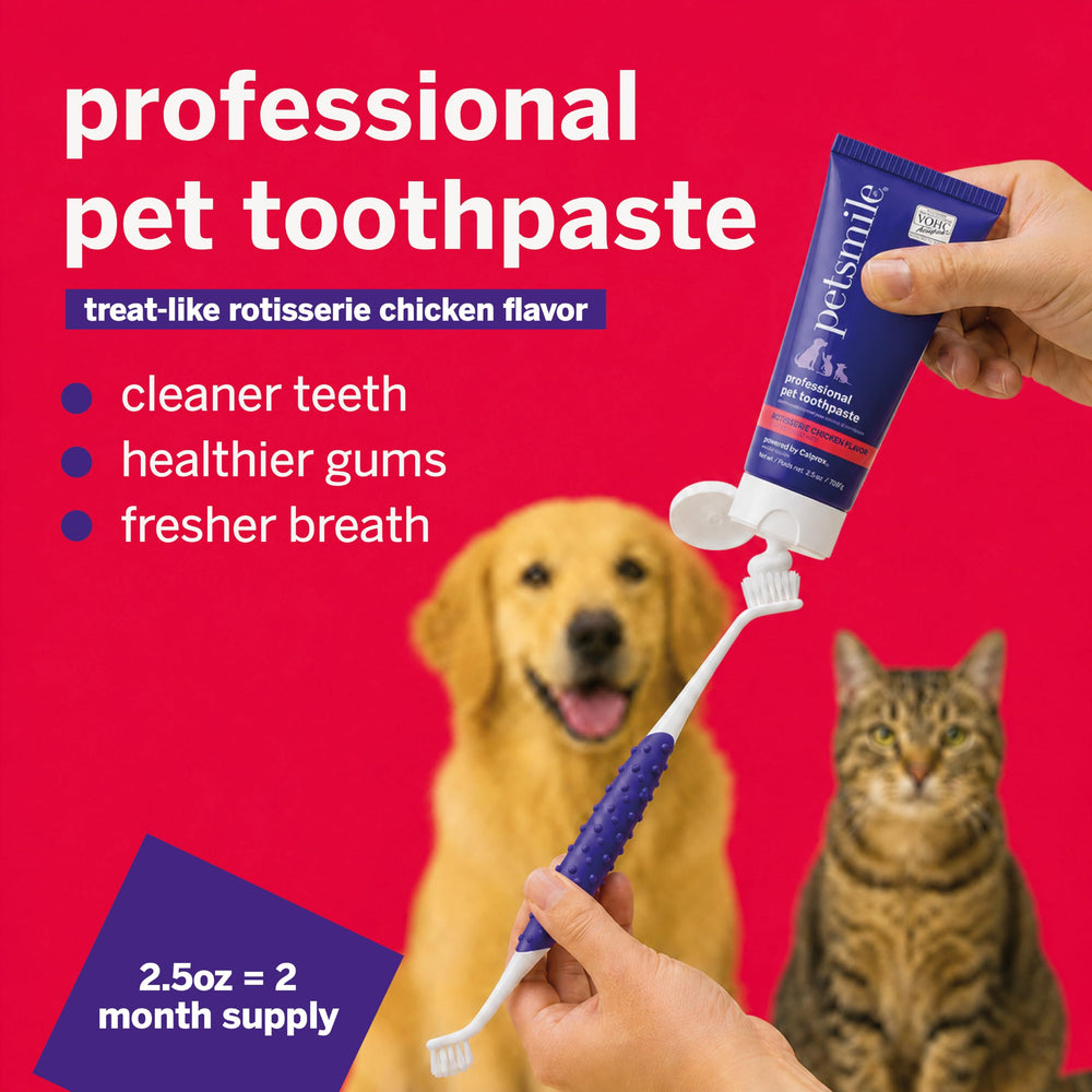 petsmile tube close-up highlighting Calprox label and ingredients