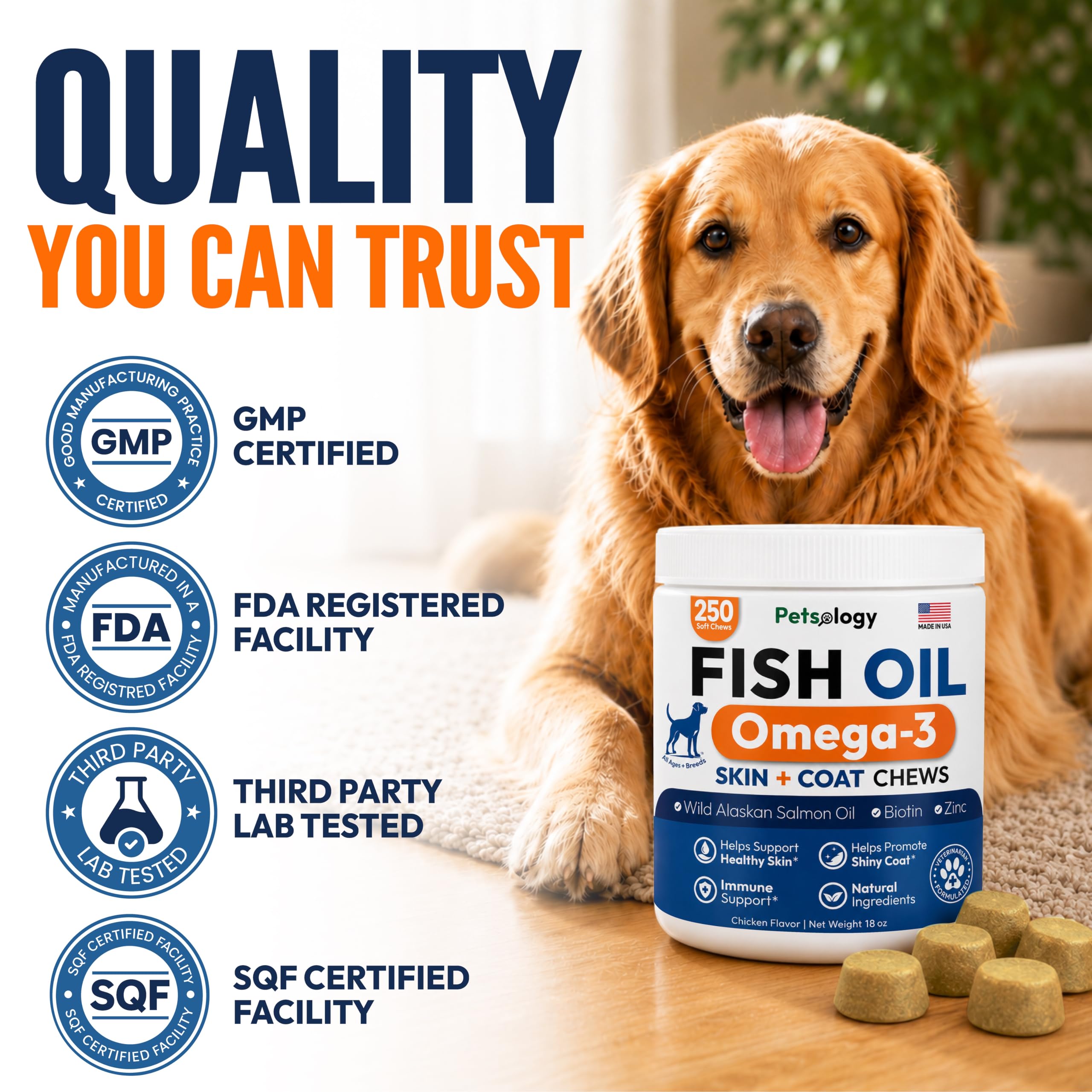 Petsology perro aceptando masticable, administración sin estrés