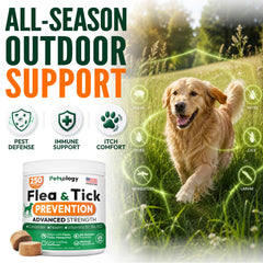Petsology textura de la pastilla masticable, fácil aceptación para perros