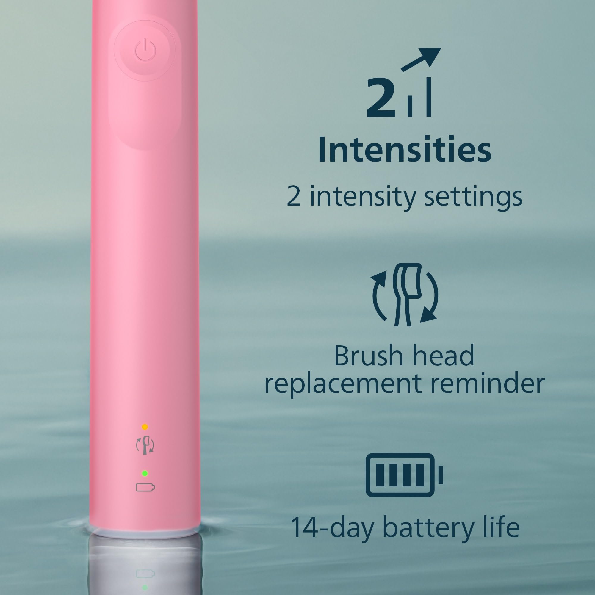 Philips Sonicare comparación de tamaño con un cepillo manual para referencia de escala práctica