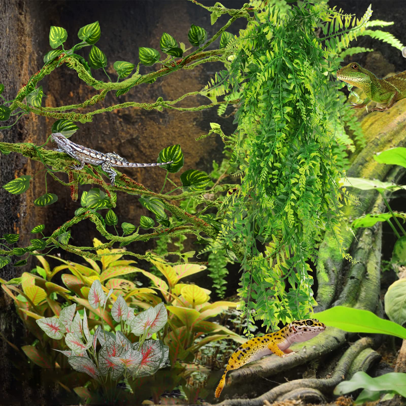 PietyPet conjunto completo desplegado, variedad para decorar terrario