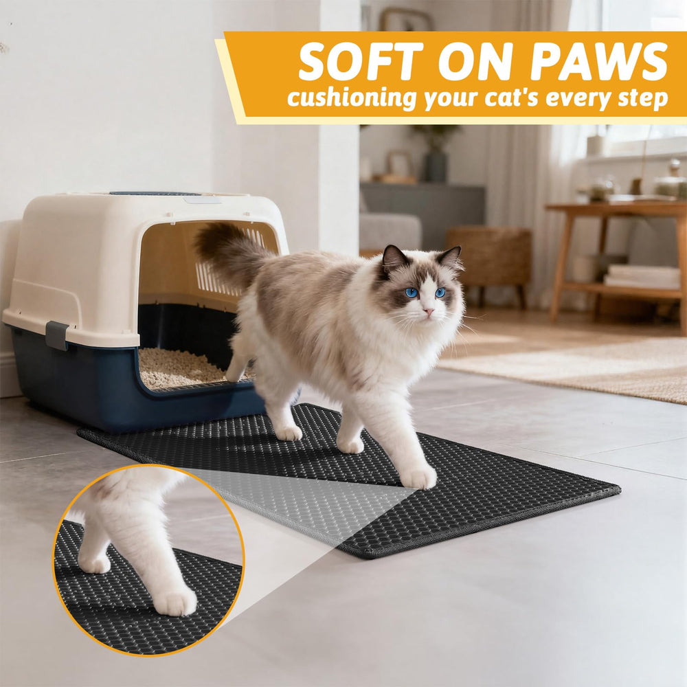 Pieviev gato caminando sobre la alfombra cómoda para sus patas