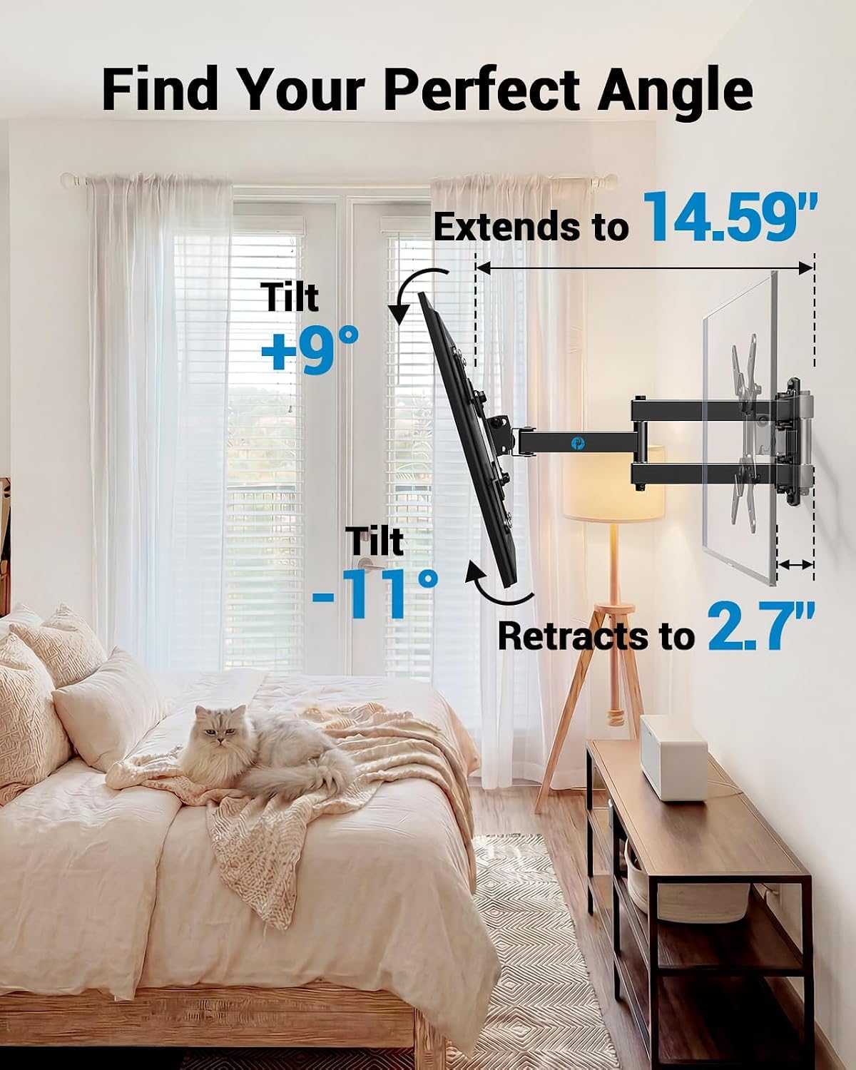 Pipishell comparación de escala junto a objetos para visualizar tamaño real del soporte