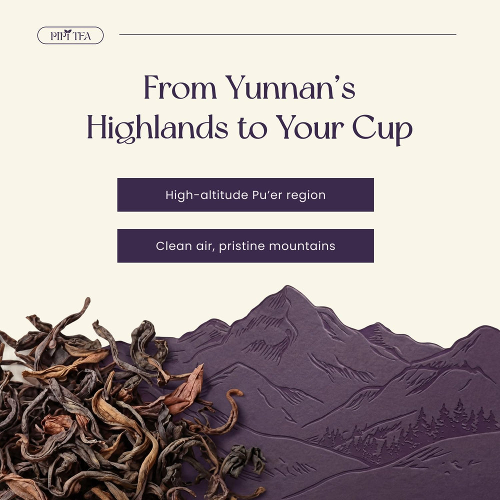PiPi Tea primer plano de hojas enteras, aroma y antioxidantes preservados