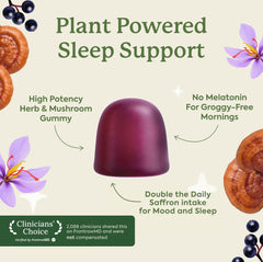 Plant People: primer plano de gomita mostrando textura masticable y sabor agradable