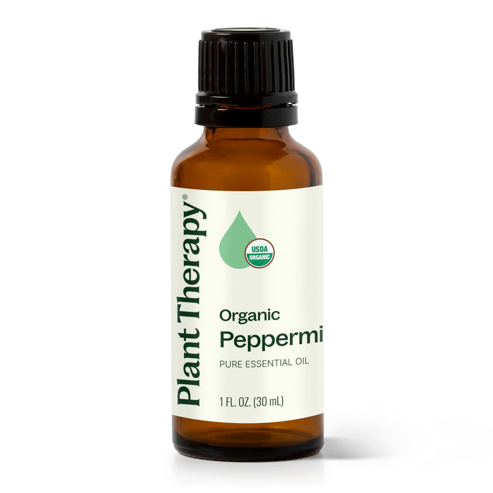Plant Therapy mezcla casera con aceite de menta lista para limpieza natural