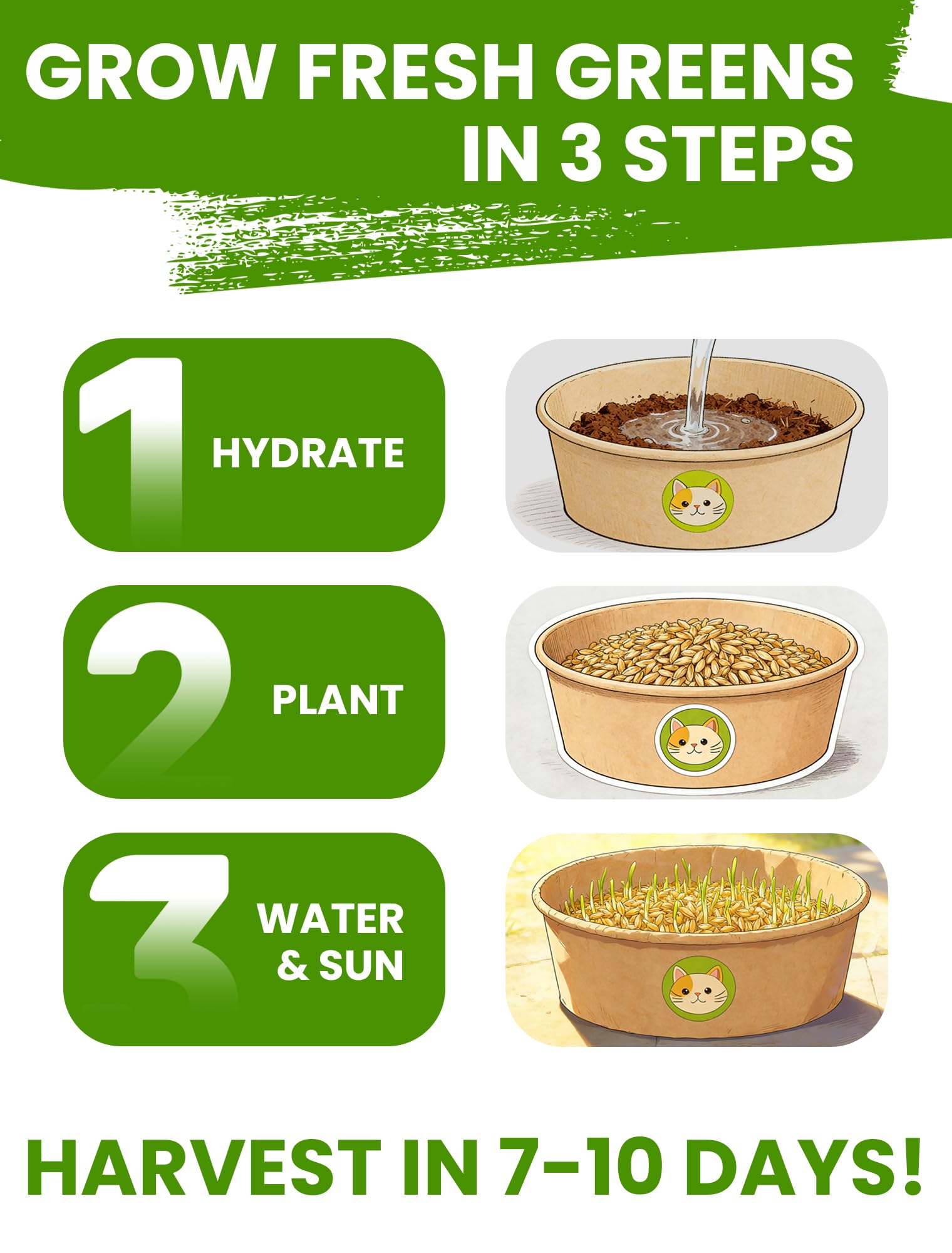 PLANTMEW sobres de semillas y disco de sustrato listos para plantar, inicio sencillo