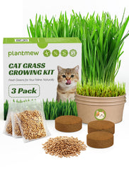 PLANTMEW paquete frontal con tres macetas biodegradables y transparencia del contenido