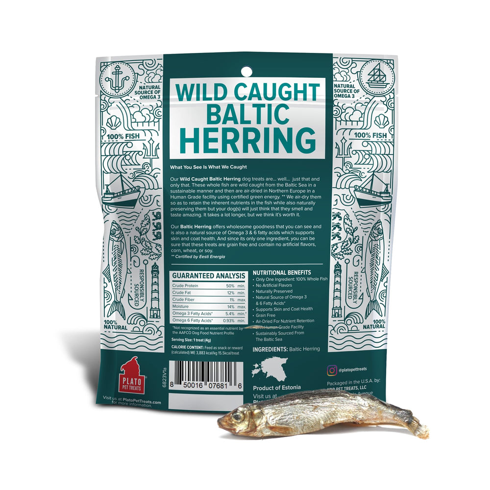 Plato textura cercana de arenque deshidratado, detalle que muestra frescura y densidad