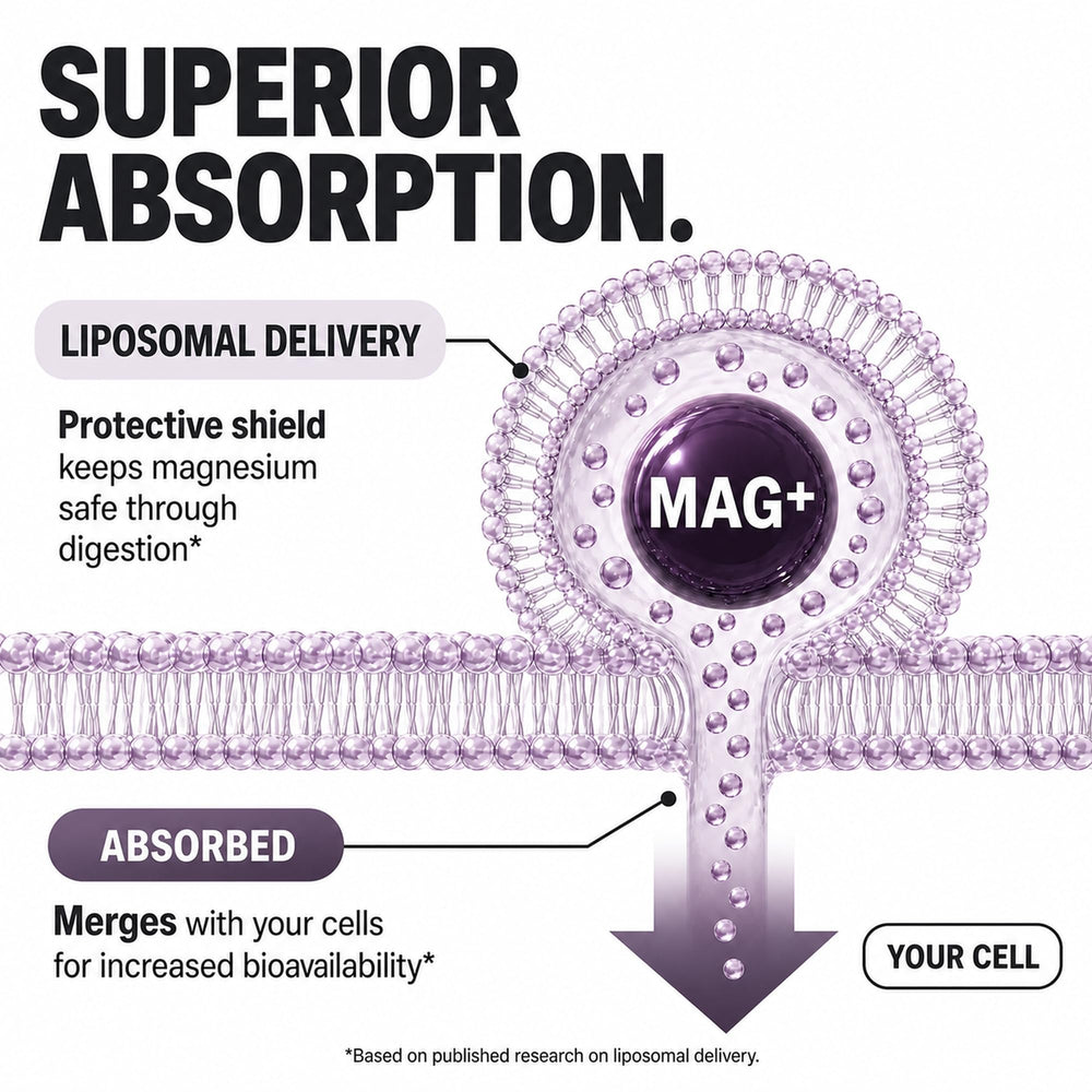 Plus+Ultra diagrama liposomal ilustrando entrega mejorada y biodisponibilidad