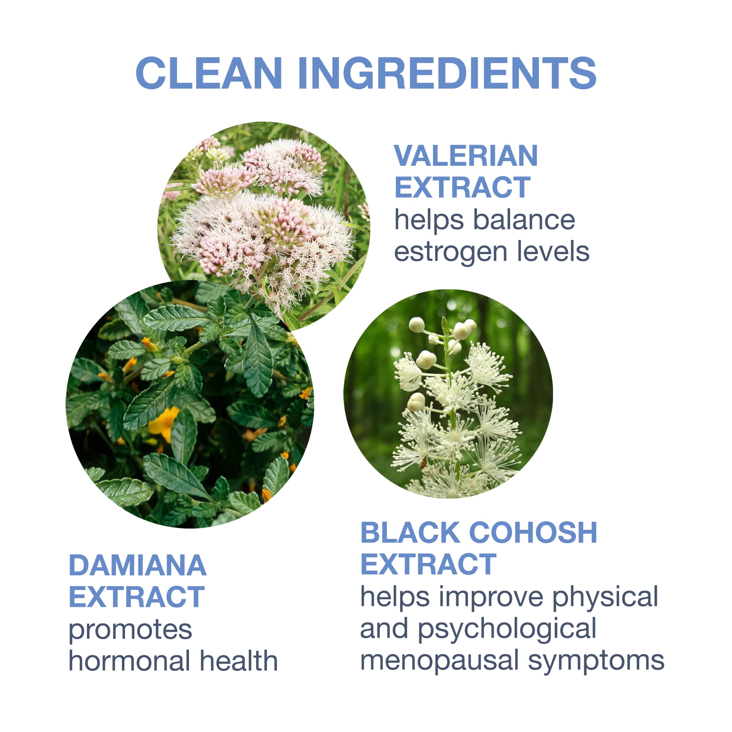 plusOne etiqueta con lista de ingredientes para transparencia y confianza