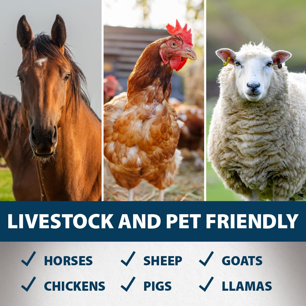 Pond Logic livestock drinking from a trough indicating safe animal use