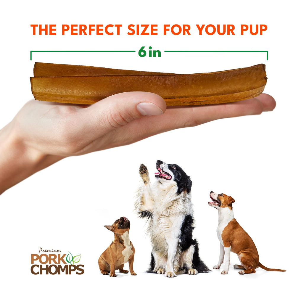 Pork Chomps perro masticando al aire libre y beneficio entretenimiento