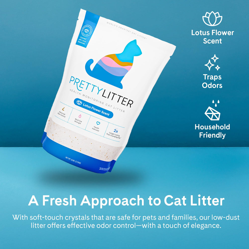 Pretty Litter en caja con gato usando arena, control de olores y confort felino
