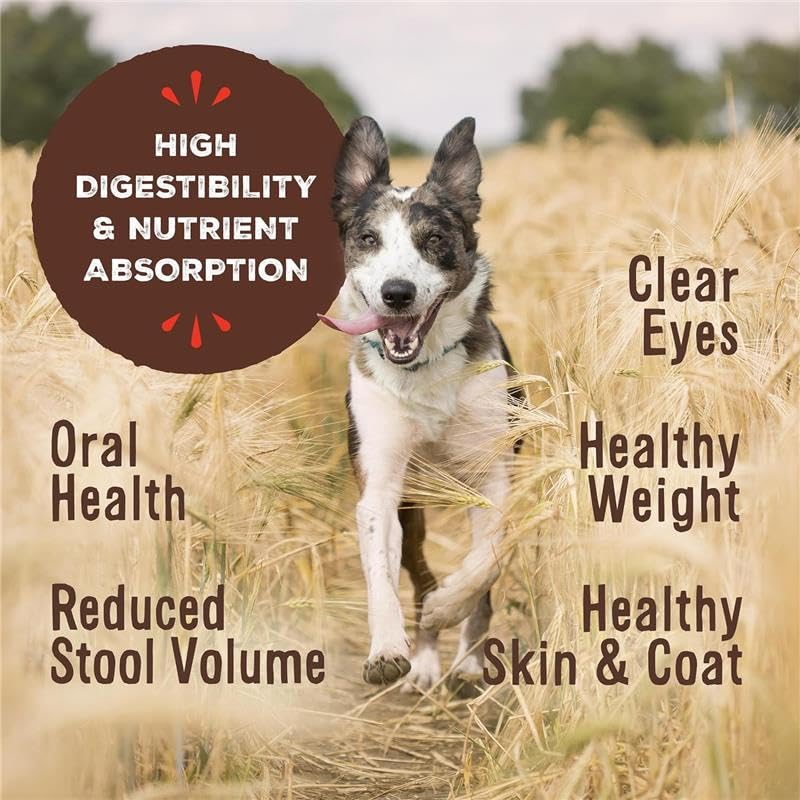 Primal Pet Foods nuggets junto a regla para comparar tamaño y porción