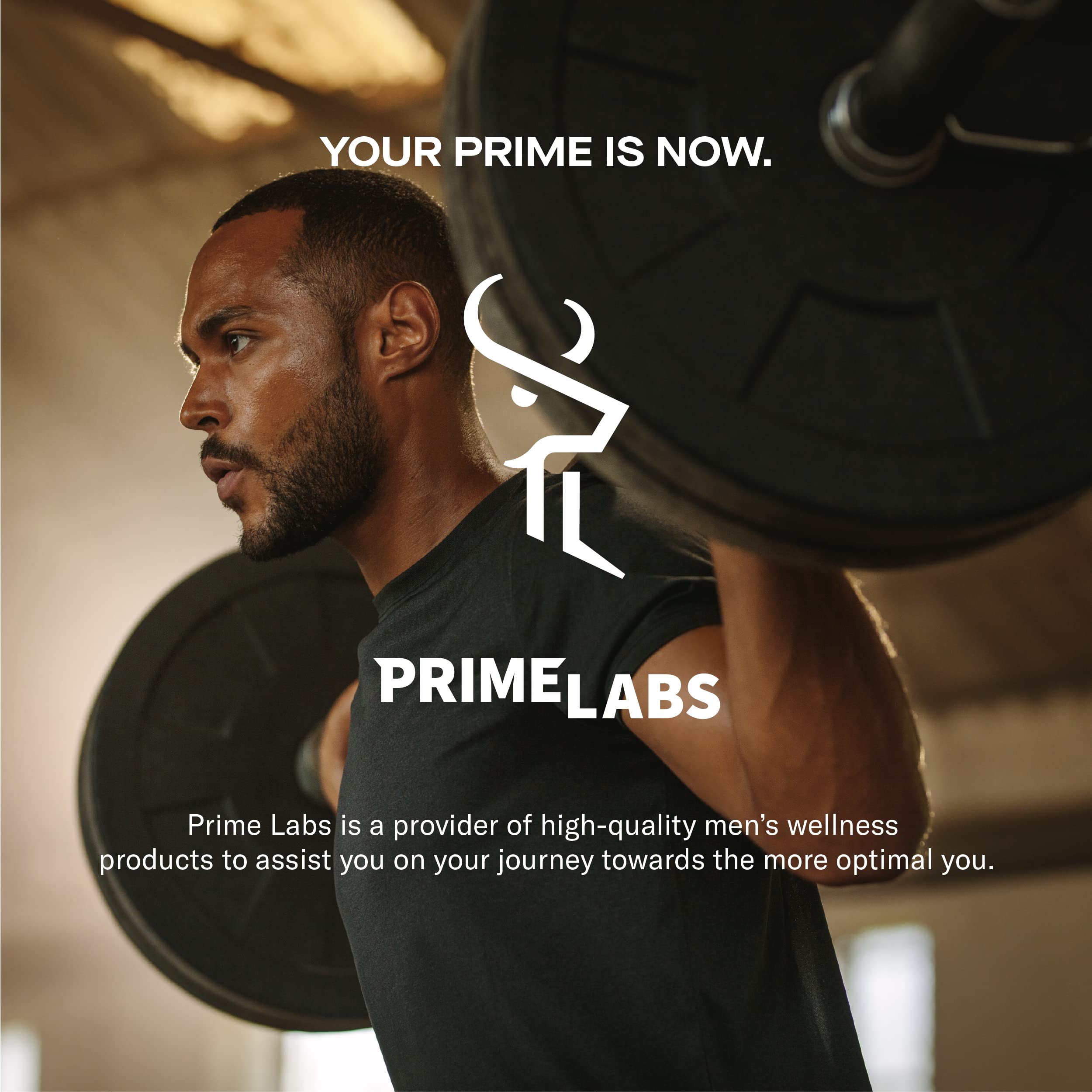 Prime Labs herb flatlay with botanical extracts underscoring natural formula