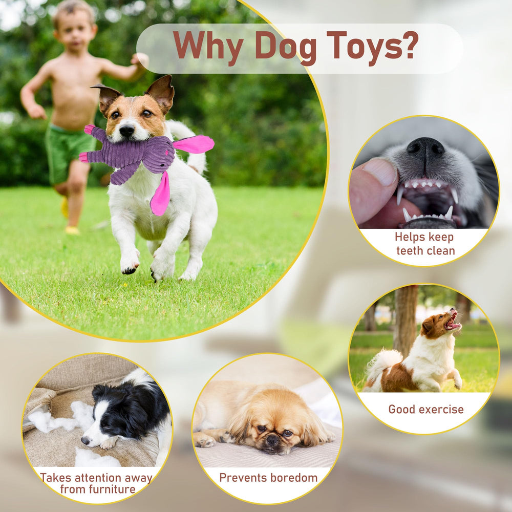 PrimePets perro jugando al lanzamiento al aire libre promoviendo ejercicio