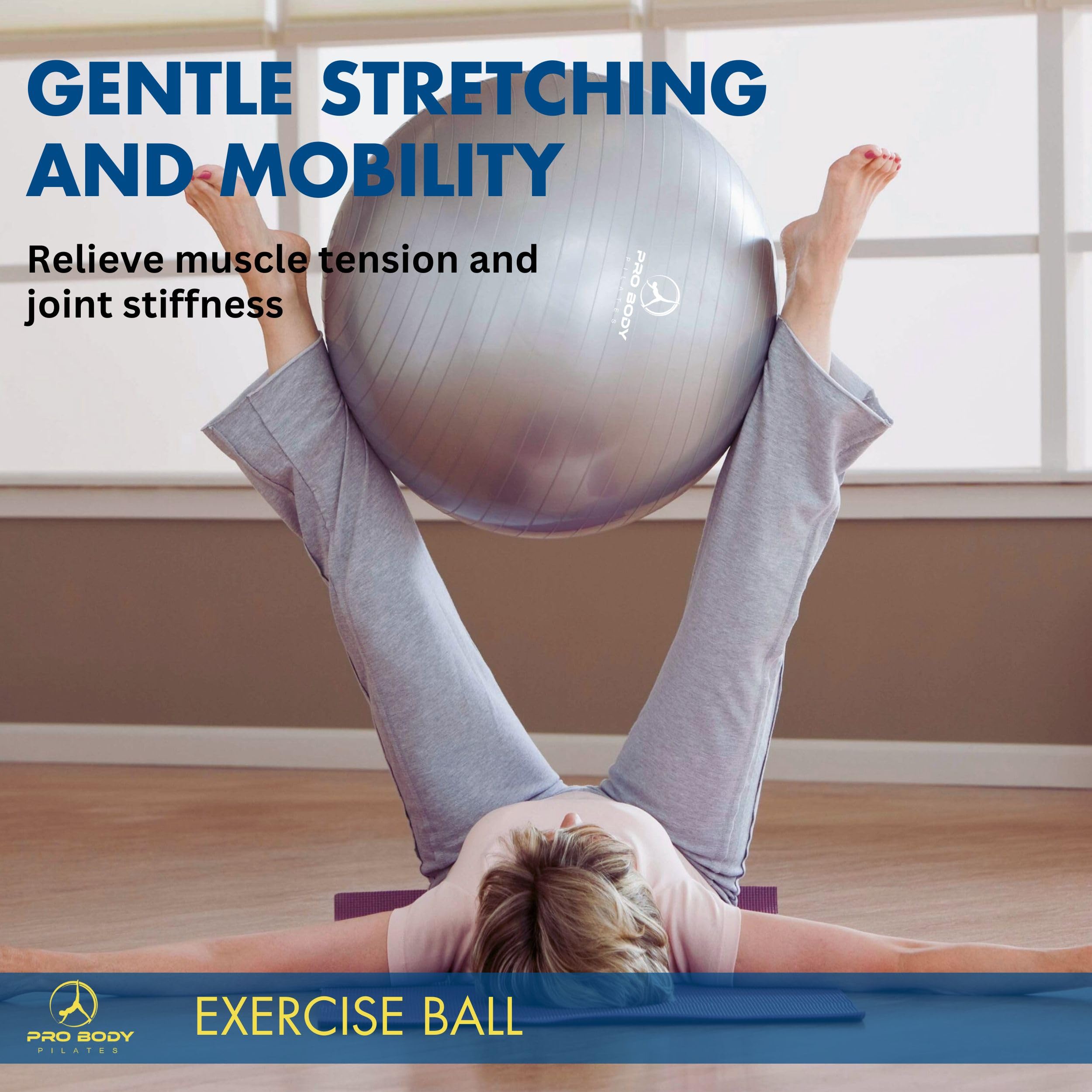 ProBody Pilates uso en escritorio promoviendo sentado activo y postura