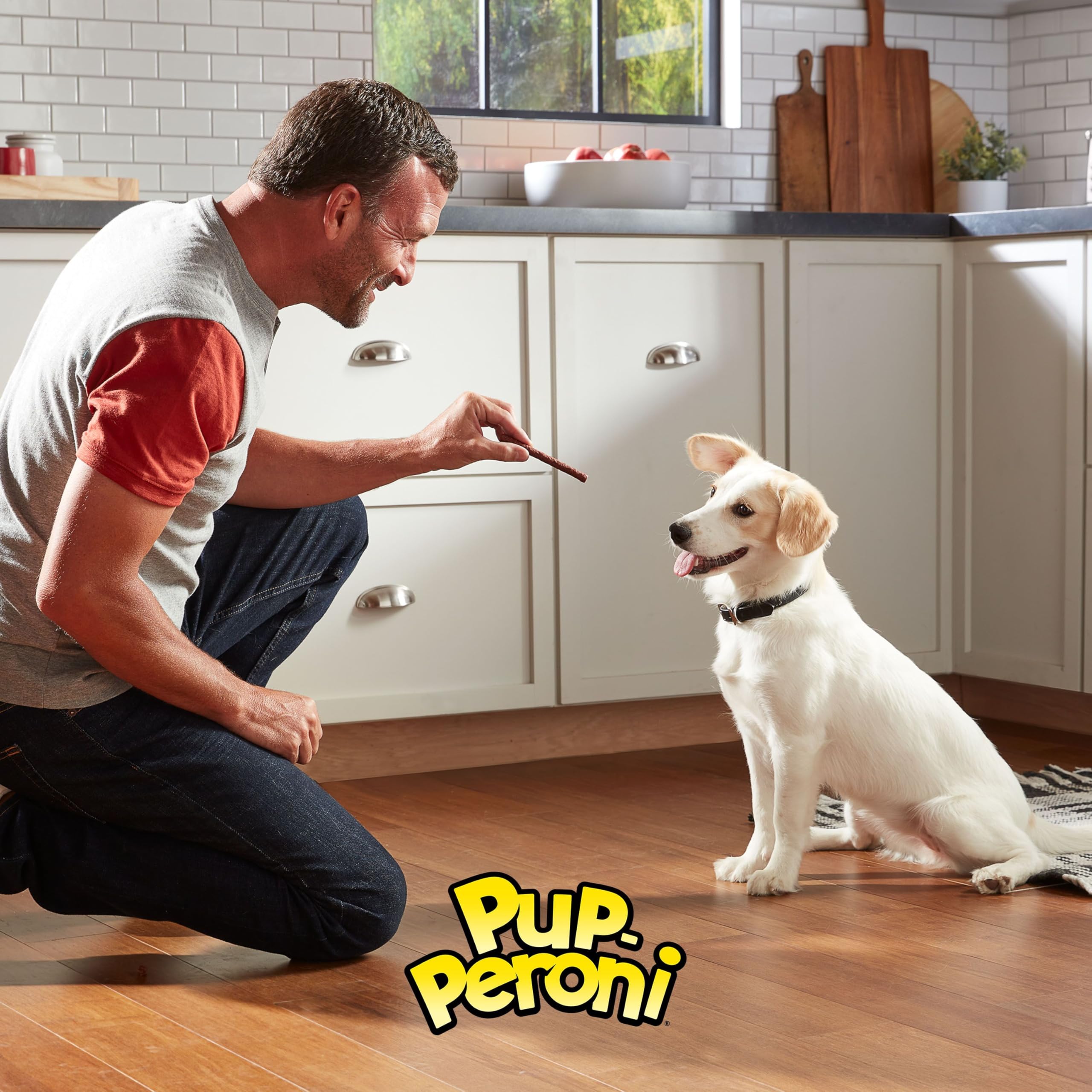 Pup-Peroni perro disfrutando premio mostrando respuesta positiva