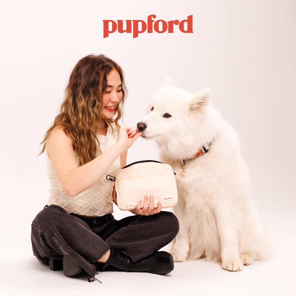 Pupford perro de estilo de vida recibiendo premio motivador durante paseo