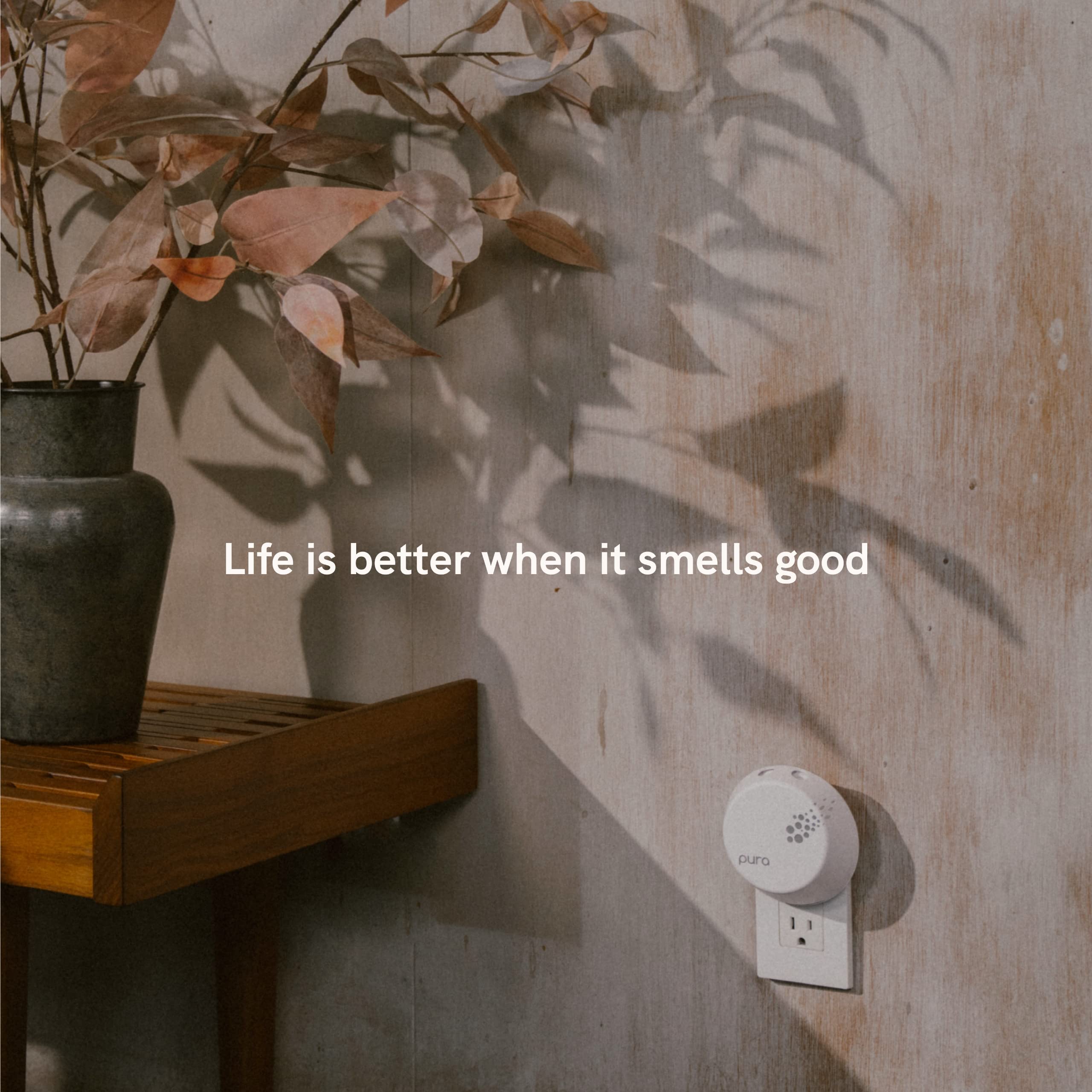 Pura etiqueta con notas aromáticas indicando té blanco, bergamota, jazmín