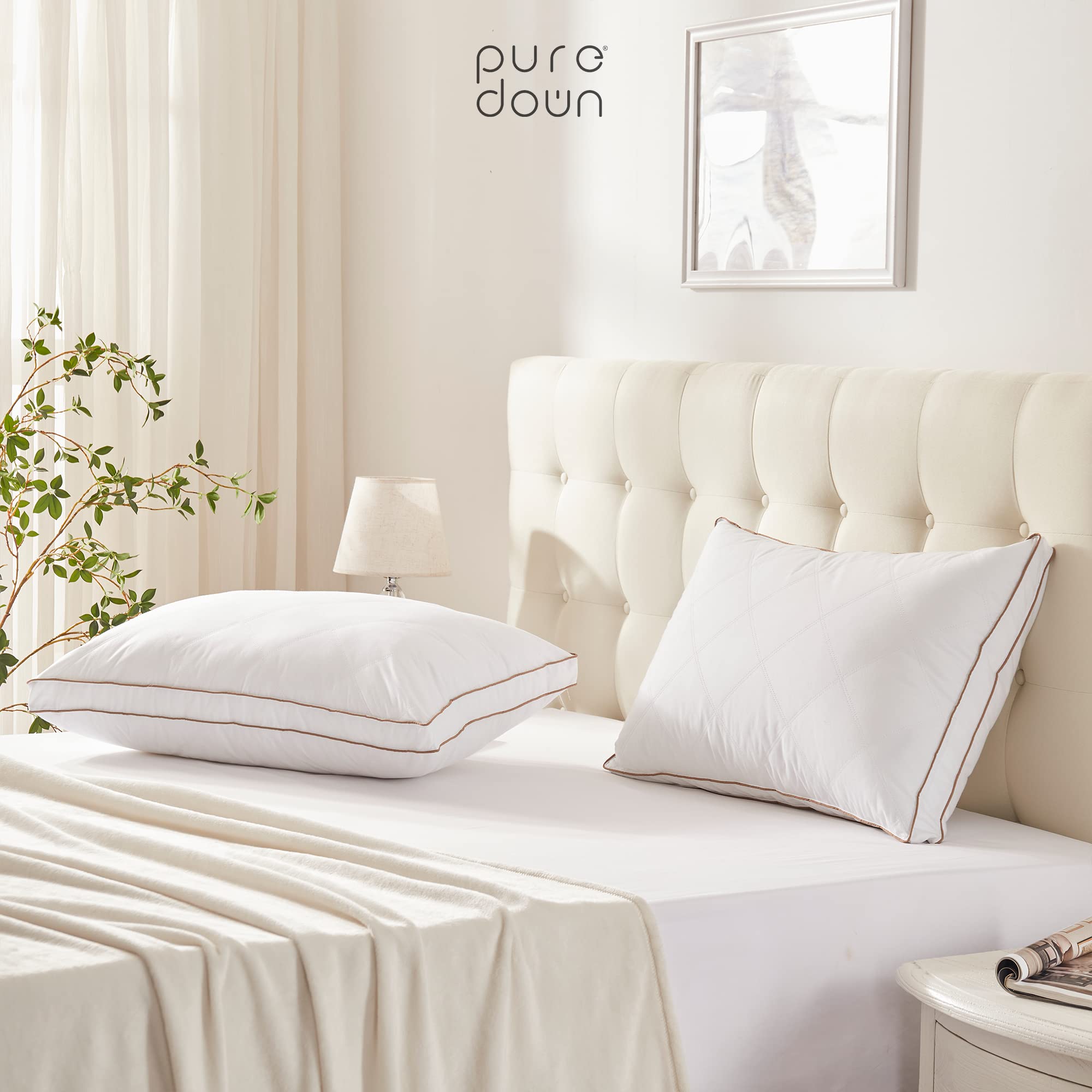 puredown comparación de tamaño king para conocer la escala en cama