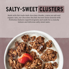 purely elizabeth primer plano de clusters crujientes con textura y cacao