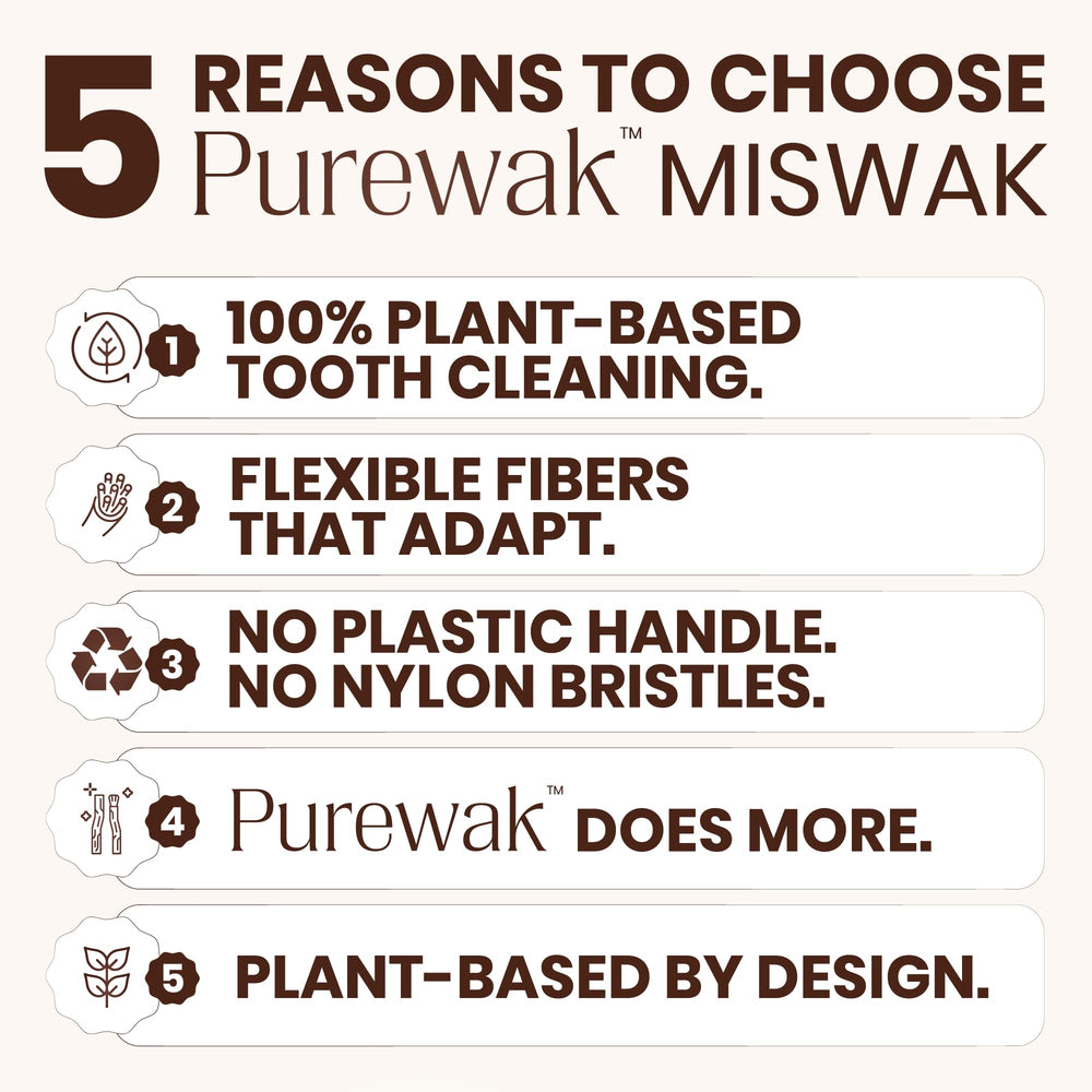 PUREWAK porta-miswak junto a palos, transporte higiénico y ordenado