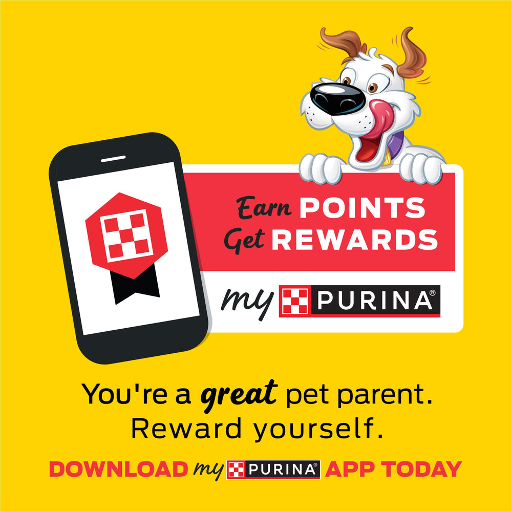 Purina Beggin' mano sosteniendo tira para comparar tamaño y porción