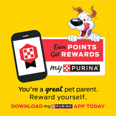 Purina Beggin' mano sosteniendo tira para comparar tamaño y porción