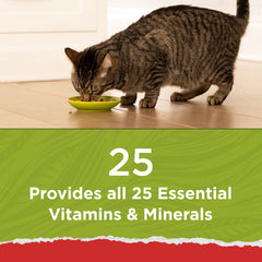 Purina Cat Chow trozos de salmón resaltando variedad de proteínas y palatabilidad