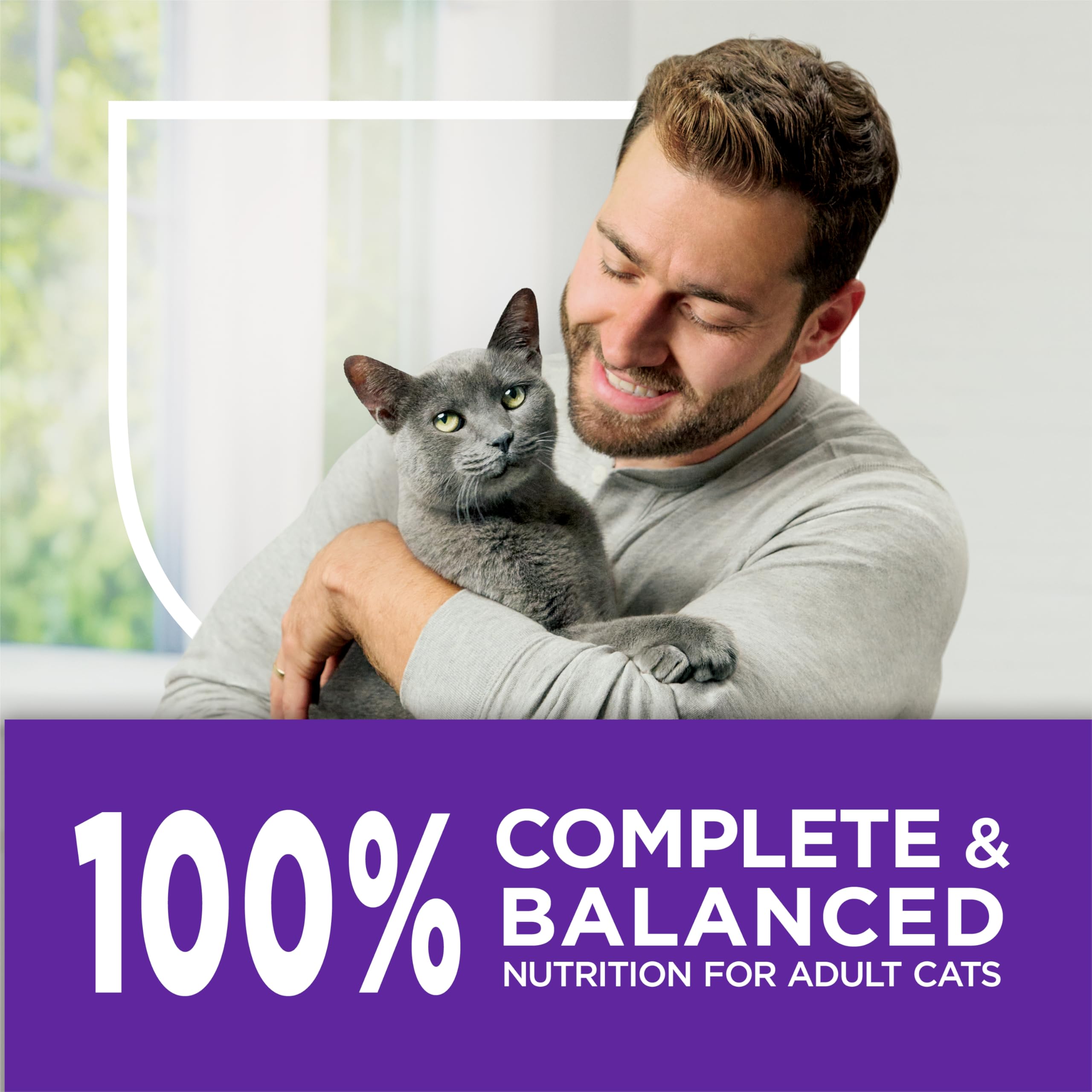 Purina Cat Chow ingredientes responsables presentados en mesa natural