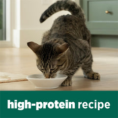 Purina Cat Chow alimento servido en plato para porciones diarias