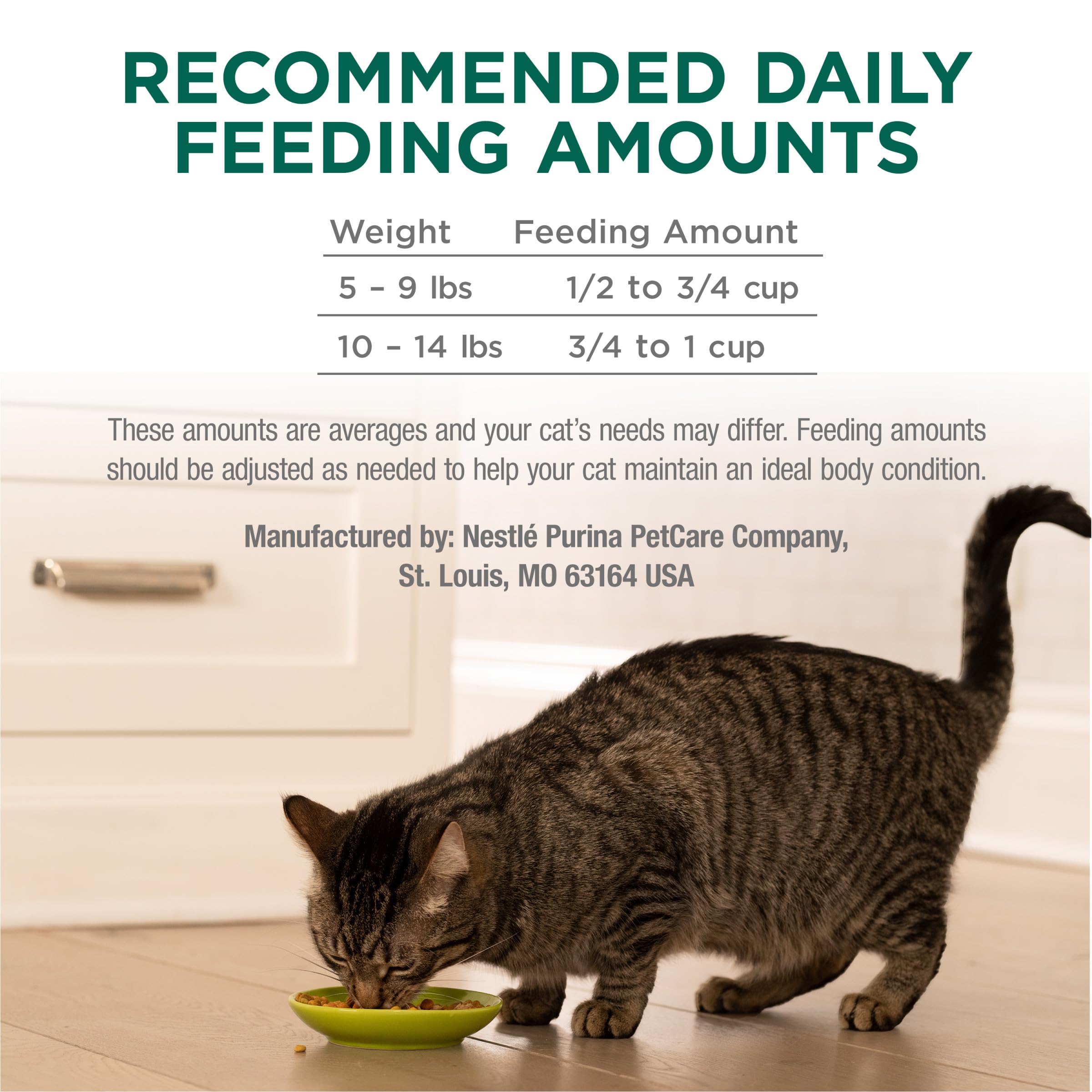 Purina Cat Chow bolsa de 13 lb comparada con objetos para escala