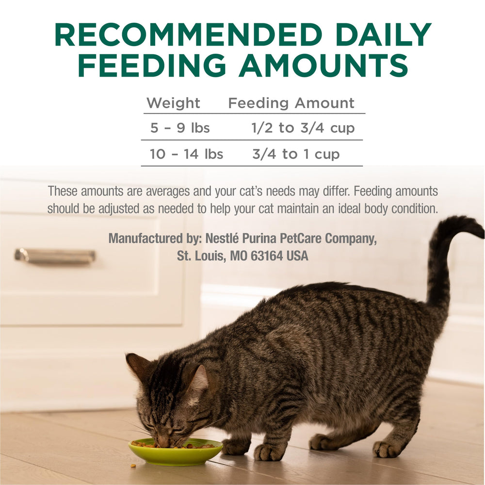 Purina Cat Chow bolsa de 13 lb comparada con objetos para escala