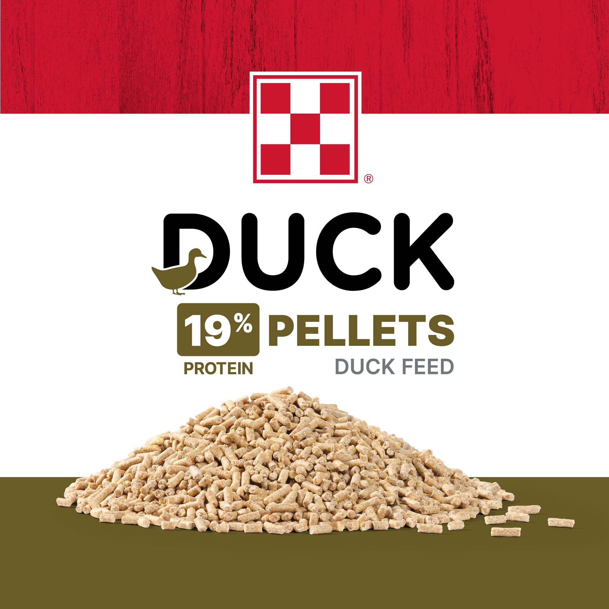 Purina alimento servido en plato, favorece crecimiento sano de patos