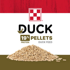 Purina alimento servido en plato, favorece crecimiento sano de patos