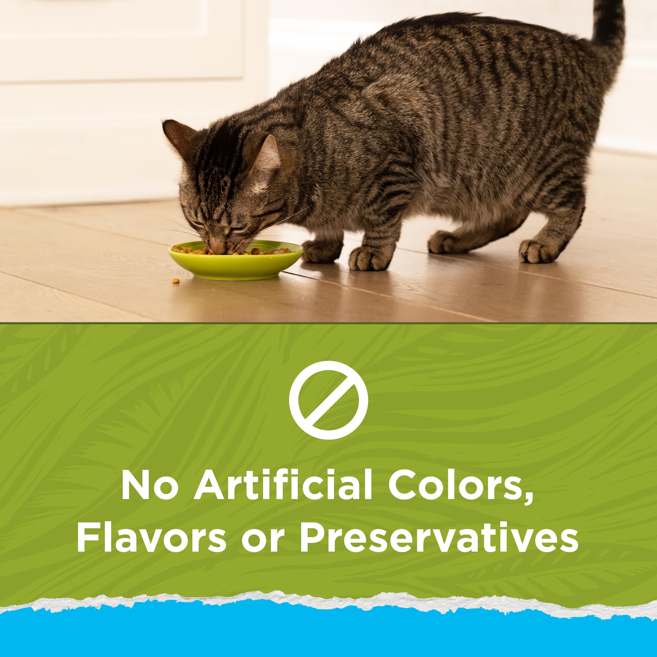 Purina Cat Chow ingredientes pollo y pavo como fuentes de proteína reales