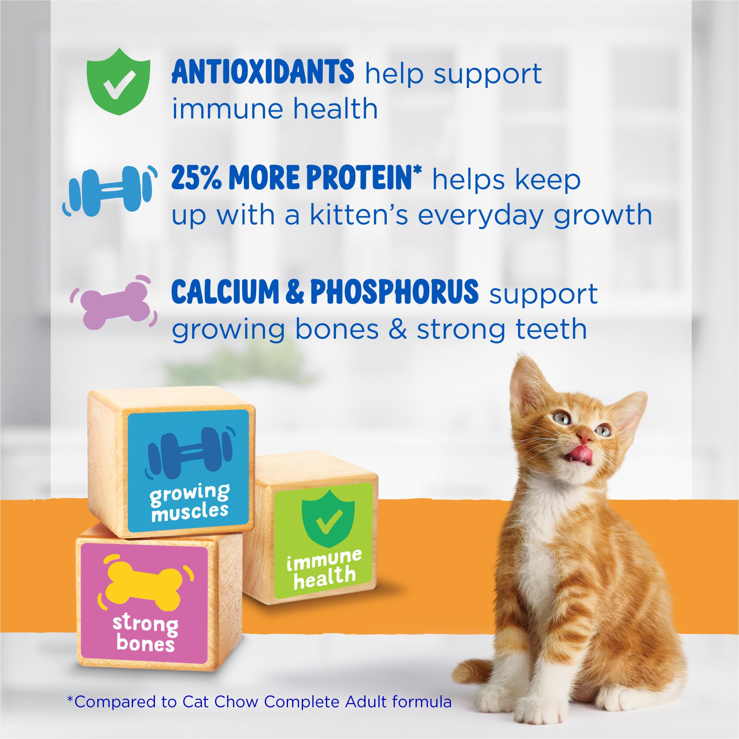 Purina Kitten Chow in kitchen setting showing everyday feeding routine benefit
