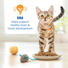 Purina Kitten Chow served in a bowl for convenient daily feeding benefit