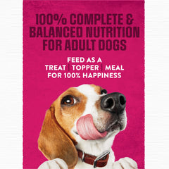 Purina Moist & Meaty servido en plato listos para comer, comida sin desorden