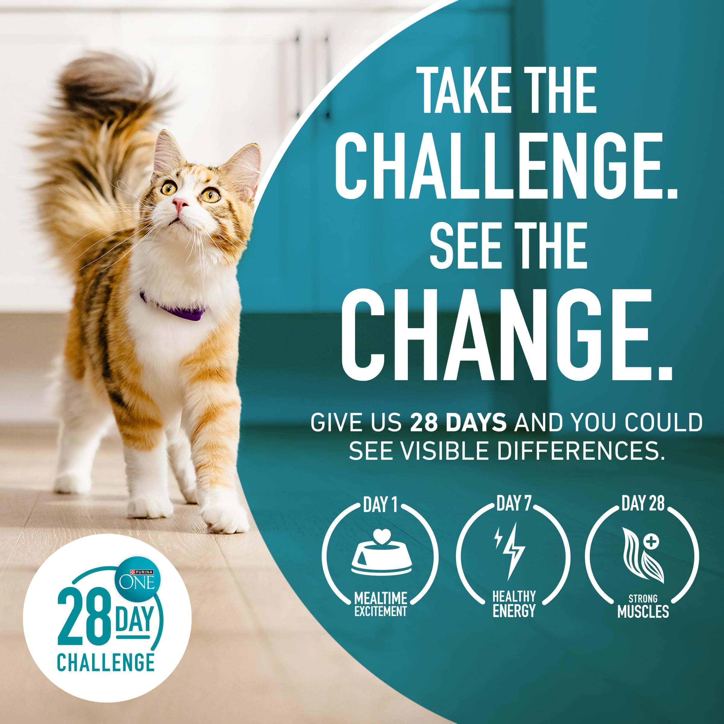 Purina ONE ambiente doméstico con gato, refleja uso diario en casa