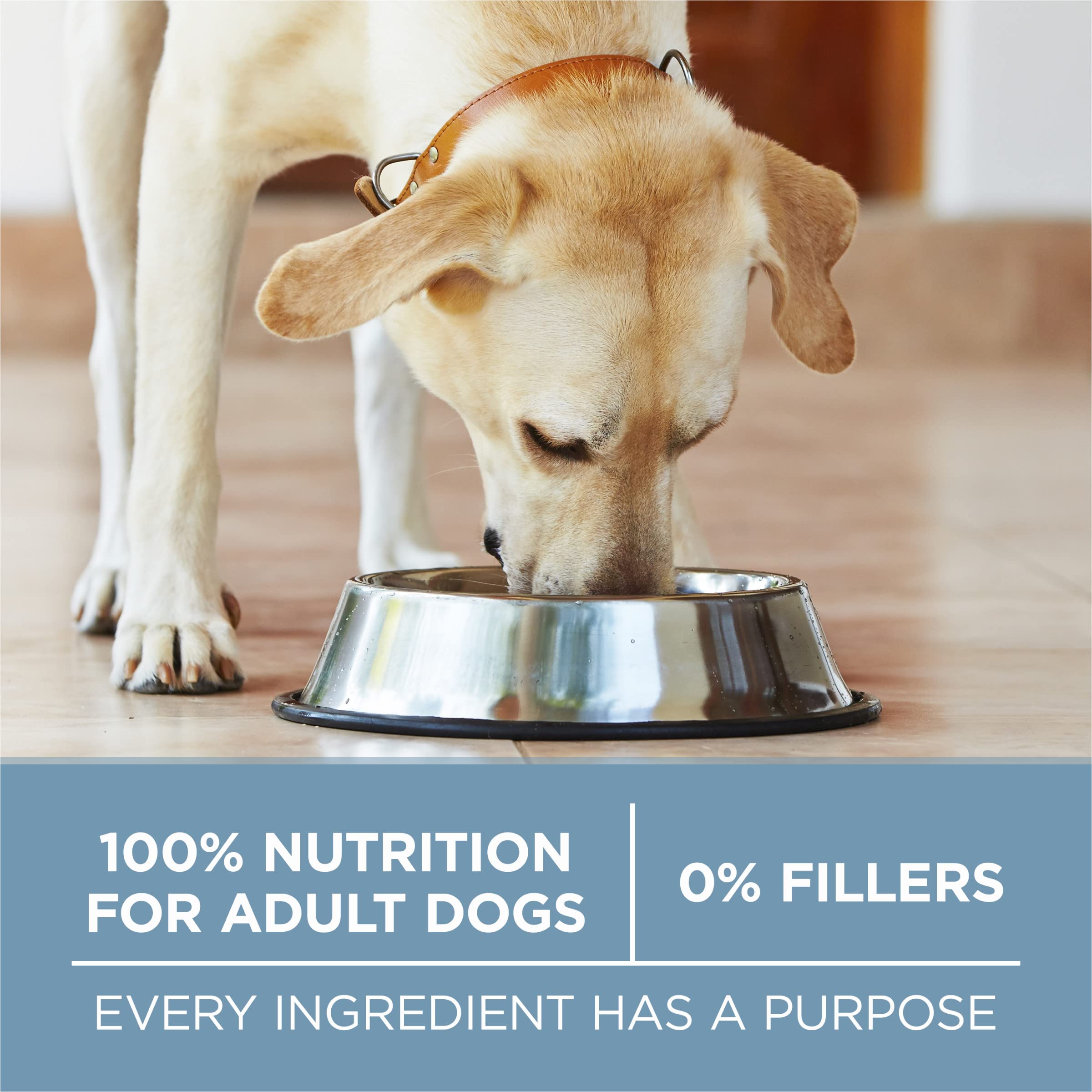 Purina ONE paquete en ambiente doméstico, apto para perros activos