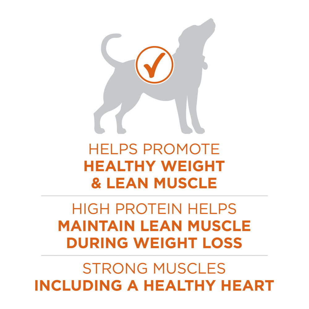 Purina ONE bol servido, muestra sabor y placer al comer