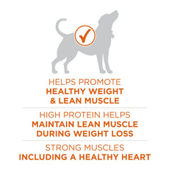 Purina ONE bol servido, muestra sabor y placer al comer