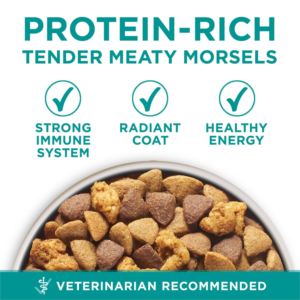 Purina ONE perro con pelaje brillante tras nutrición con omega-6