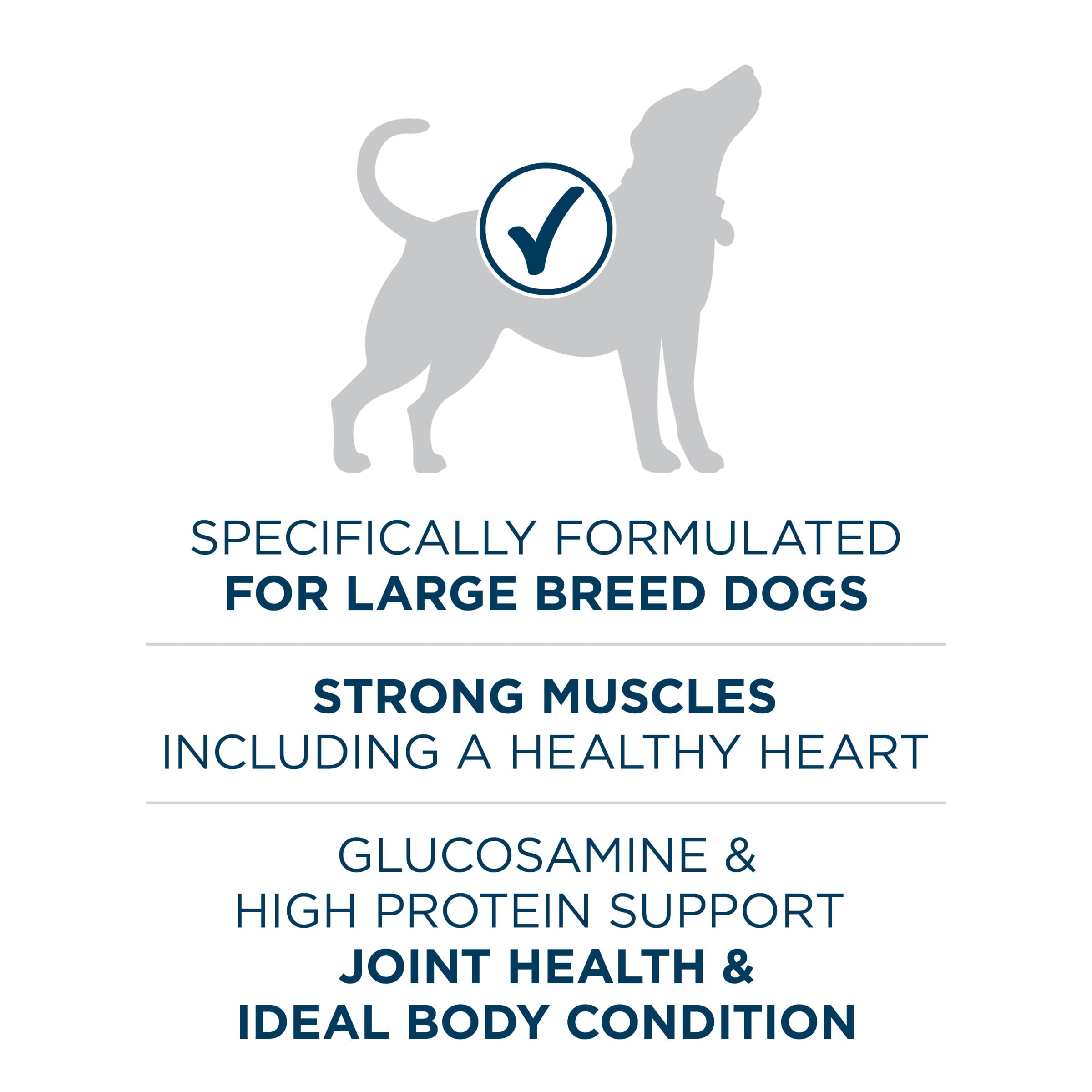 Purina ONE bol con pienso listo para servir y aporte proteico visible